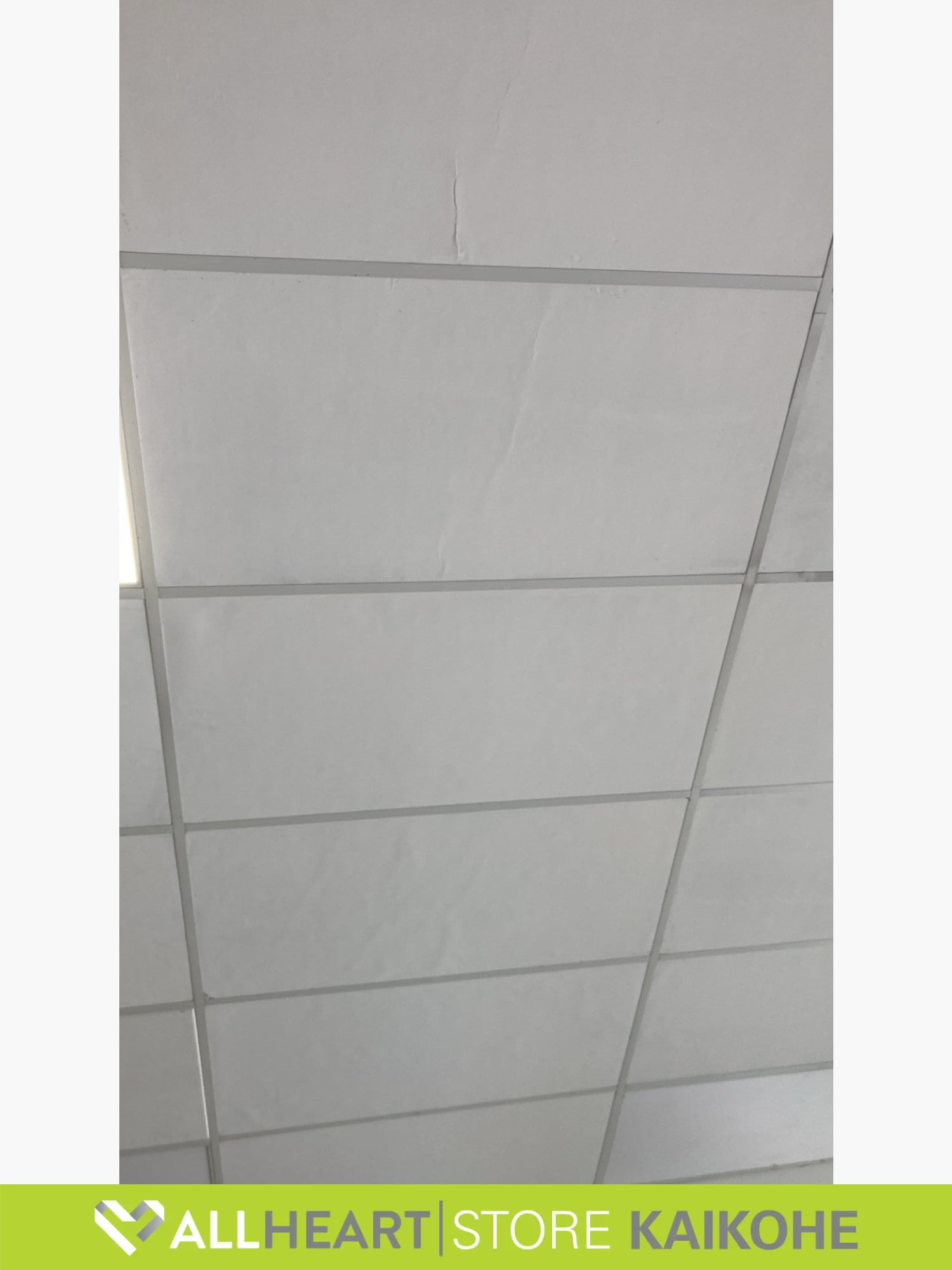 Ceiling Tiles - Insulated - 1200 x 600mm